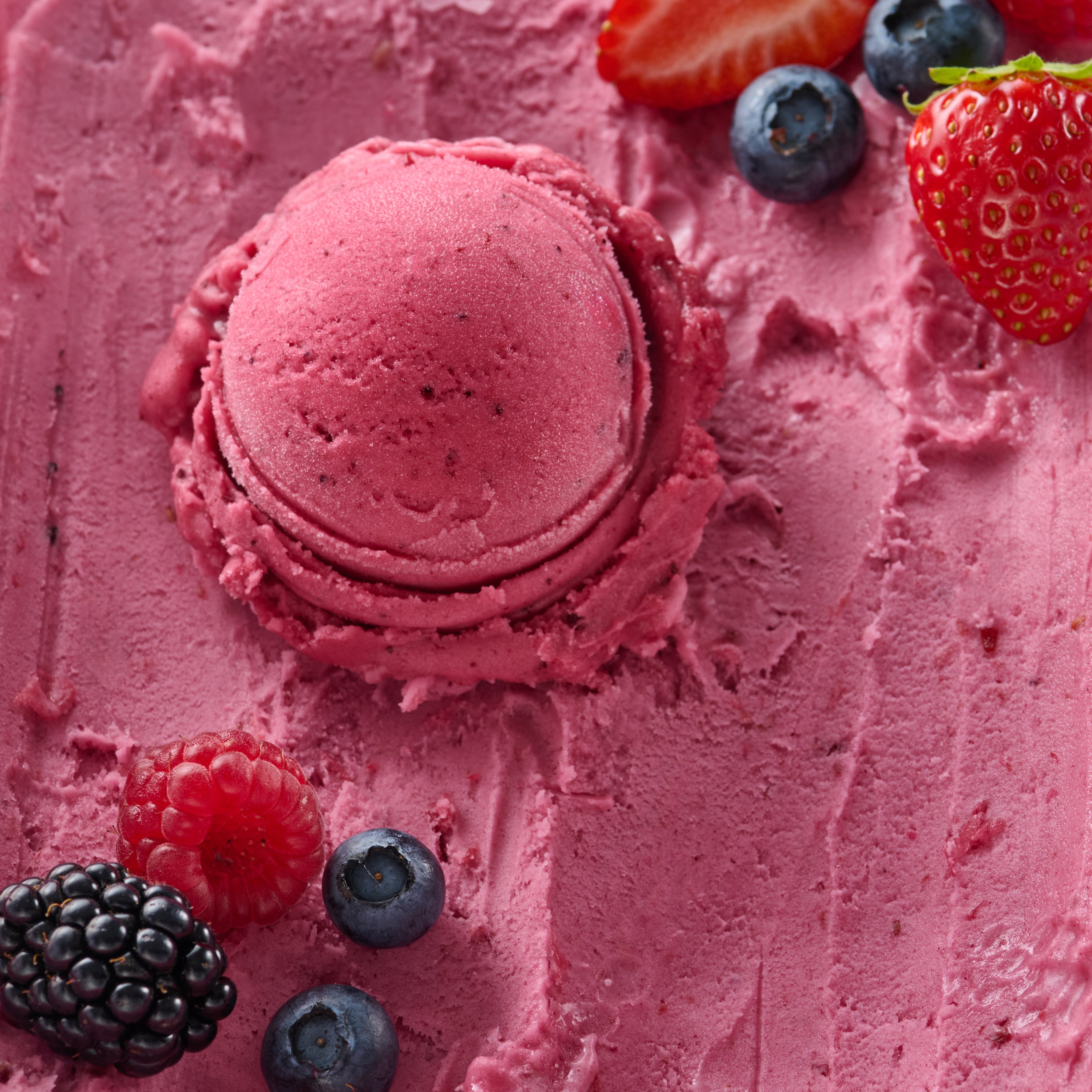 Wild Berry Sorbet